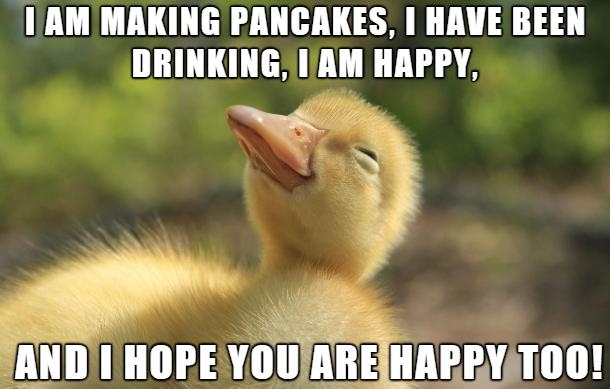 IAMMAKING PANCAKES HAVE BEEN DRINKINGIRM HAPPY AND HOPEYOU AREIHAPPYT0O