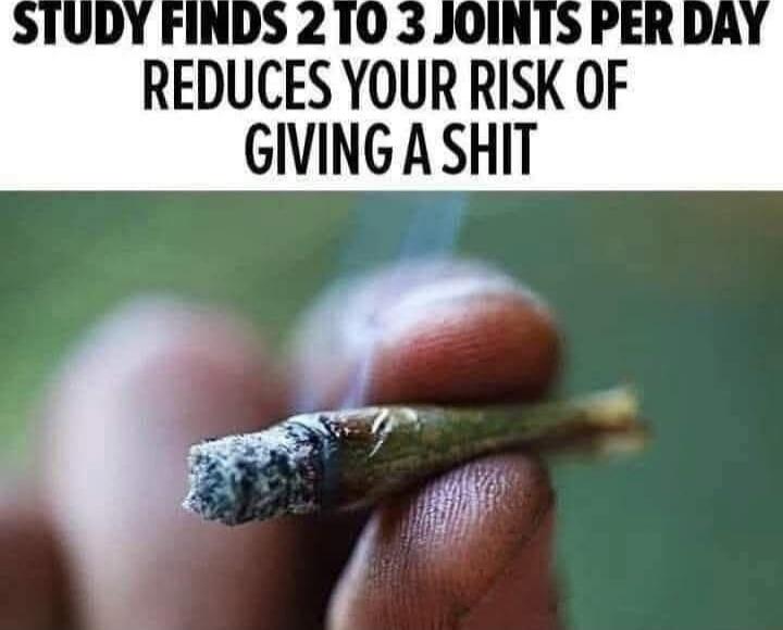 STUDY FINDS 2 TO 3 JOINTS PER DAY
REDUCES YOUR RISK OF GIVING A SHIT