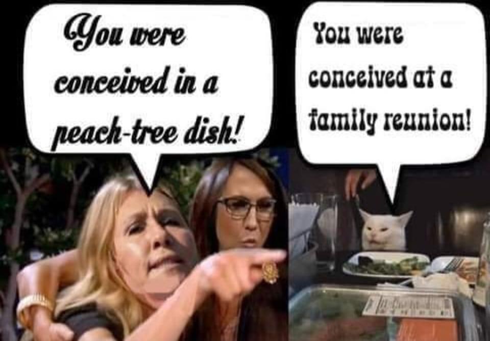 You were concelvedata family reunion