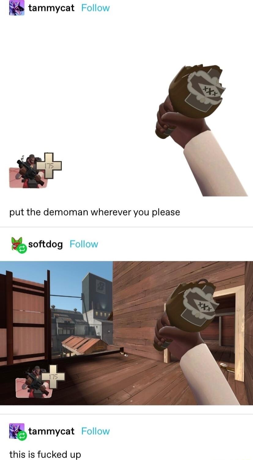 tammycat put the demoman wherever you please M softdog Follc N tammycat this is fucked up