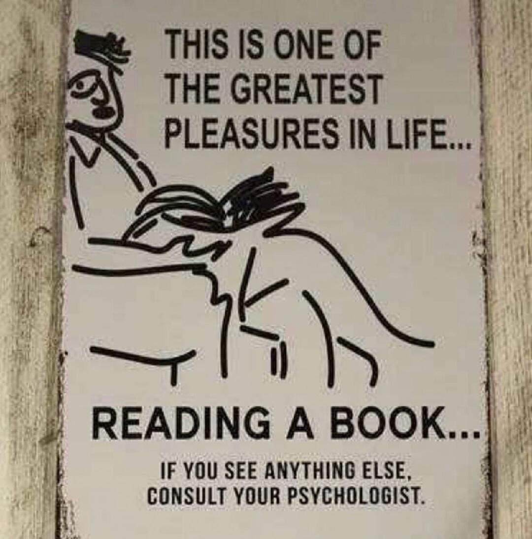 THIS IS ONE OF THE GREATEST PLEASURES IN LIFE... READING A BOOK... IF YOU SEE ANYTHING ELSE, CONSULT YOUR PSYCHOLOGIST.
