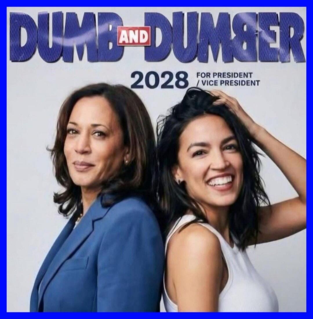 DUMB AND DUMBER 2028 FOR PRESIDENT / VICE PRESIDENT