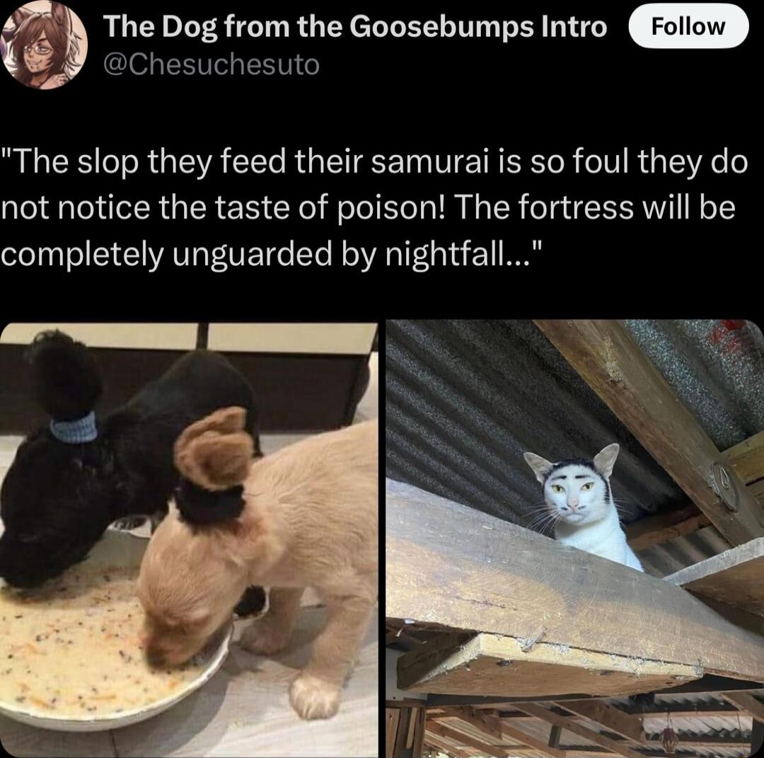 The Dog from the Goosebumps Intro Chesuchesuto BLEE R GIEA CET R TR ETN VNI R e IV R s 5K o not notice the taste of poison The fortress will be completely unguarded by nightfall