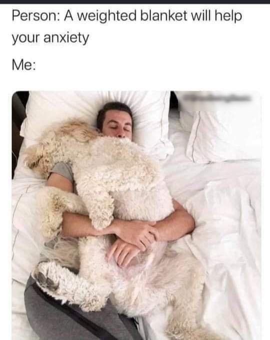 Person A weighted blanket will help your anxiety