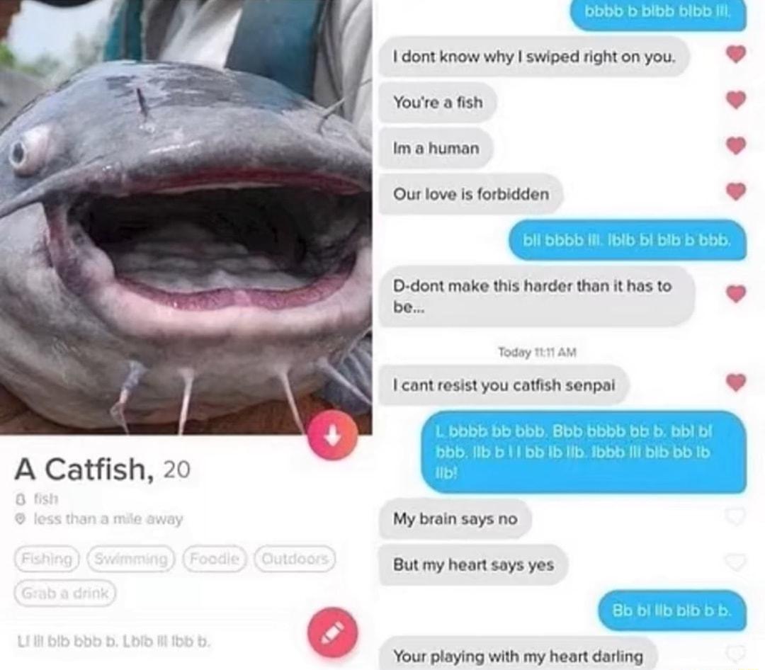 A Catfish 20 1 dontknow why sviped ighton yo Youre afah Ourlove s fotidden 0 dont ke this havdor than has o be I cantrosist you atish senpal My beainsays no Butmy heortsays yes Your playing with my heert daring cs e