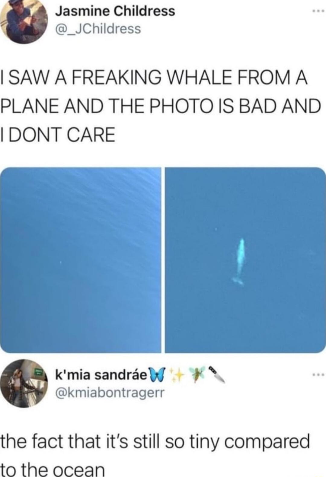 Jasmine Childress _JChildress SAW A FREAKING WHALE FROM A PLANE AND THE PHOTO IS BAD AND IDONT CARE Kkmia sandraef N kmiabontragerr the fact that its still so tiny compared to the ocean