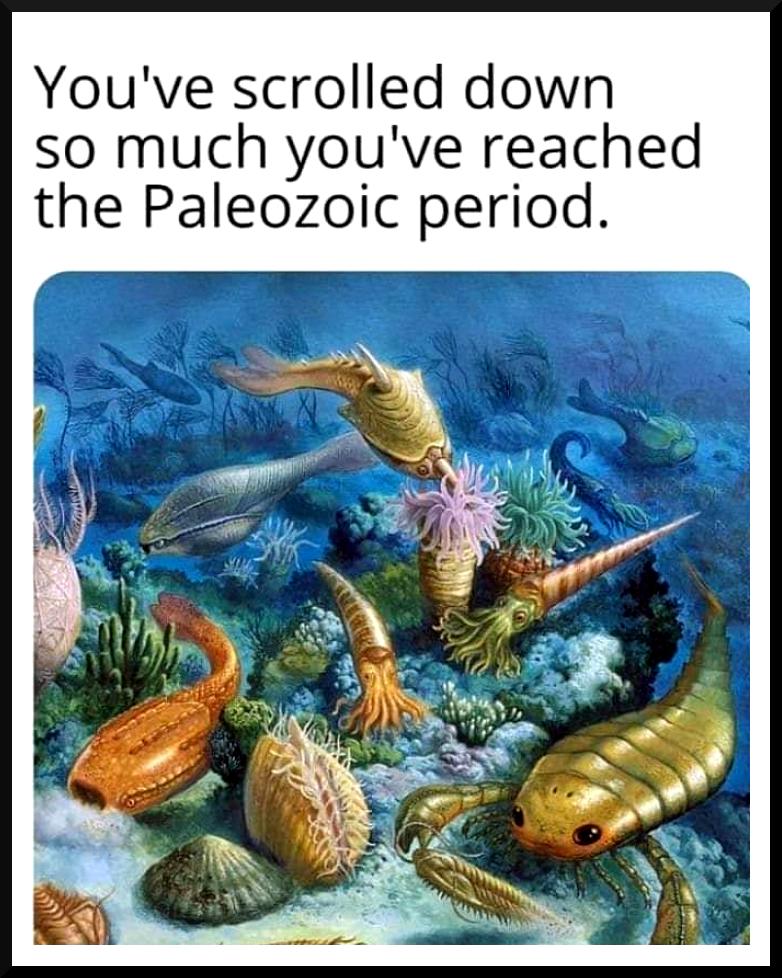 Youve scrolled down so much youve reached the Paleozoic period