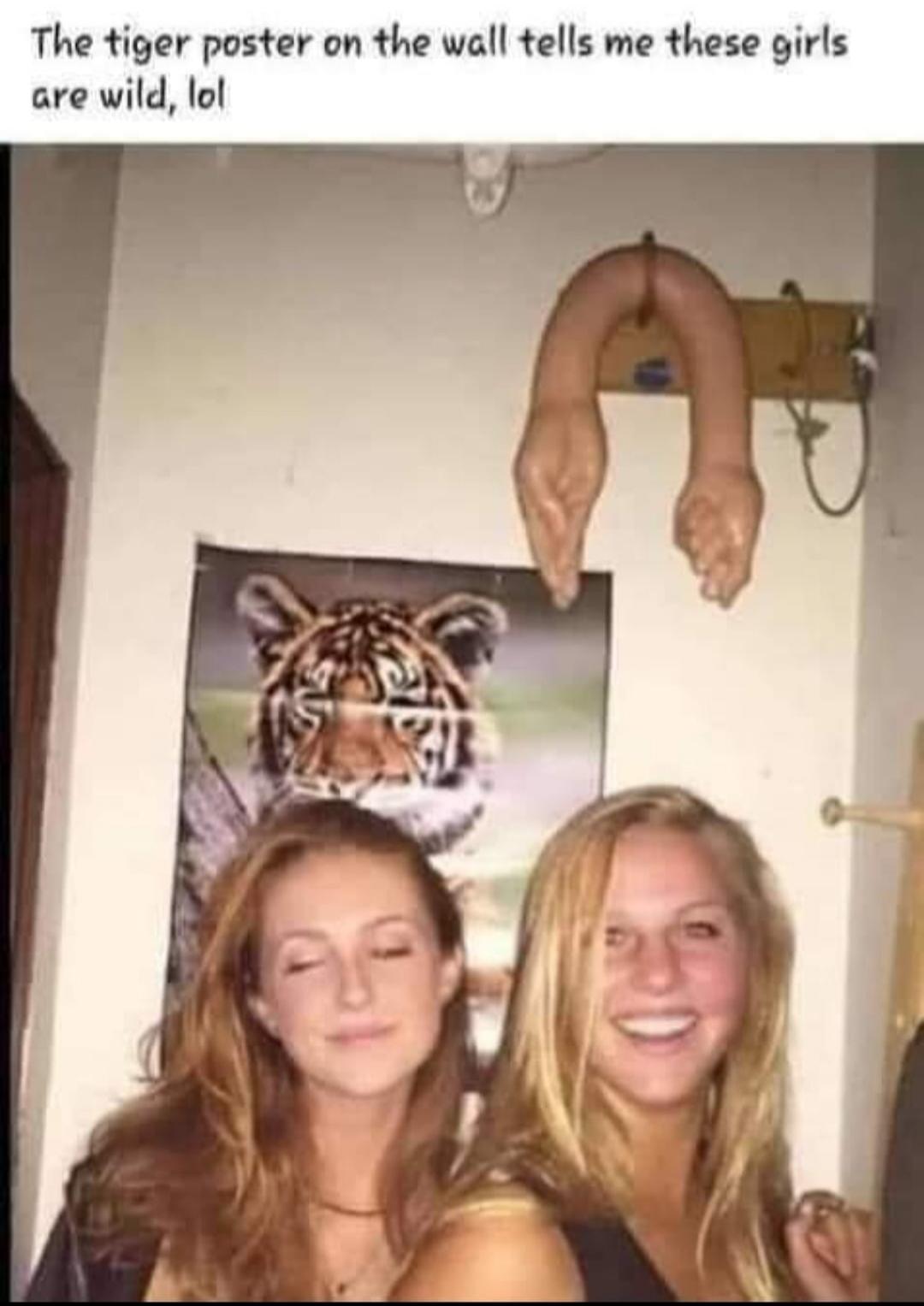 The tiger poster on the wall tells me these girls are wild, lol