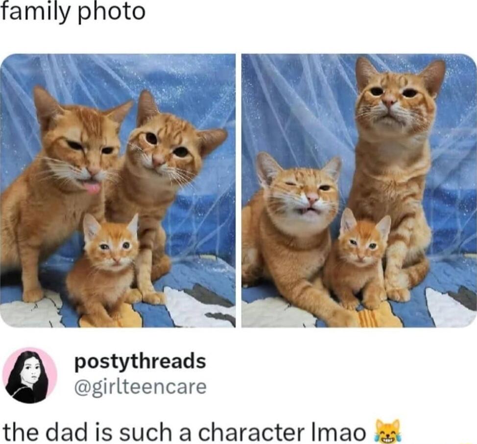 postythreads girlteencare the dad is such a character Imao