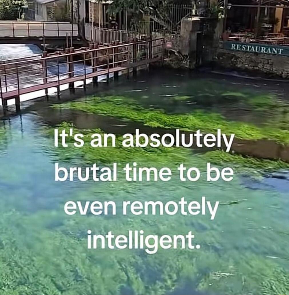 It's an absolutely brutal time to be even remotely intelligent.