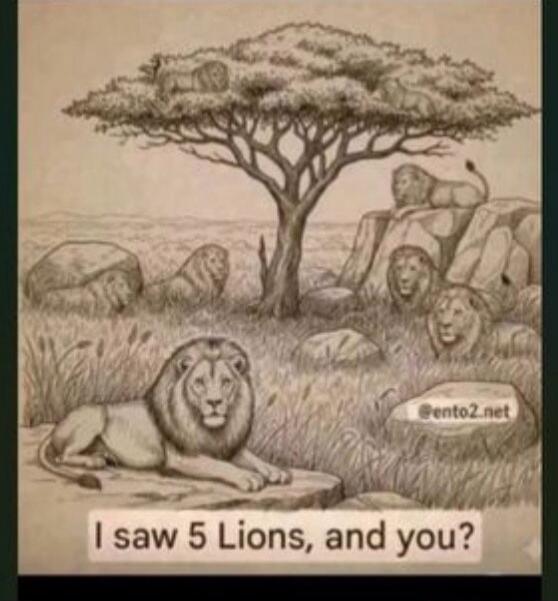 I saw 5 Lions, and you?