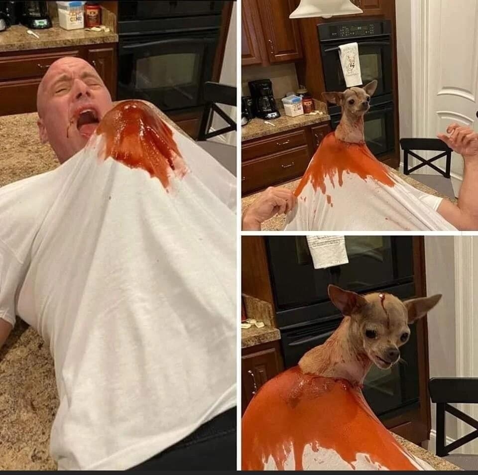 Posted in rPeopleFuckingDying
