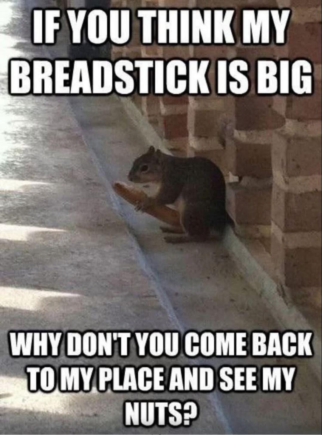IF YOU THINK MY BREADSTICK IS BIG WHY DON'T YOU COME BACK TO MY PLACE AND SEE MY NUTS?