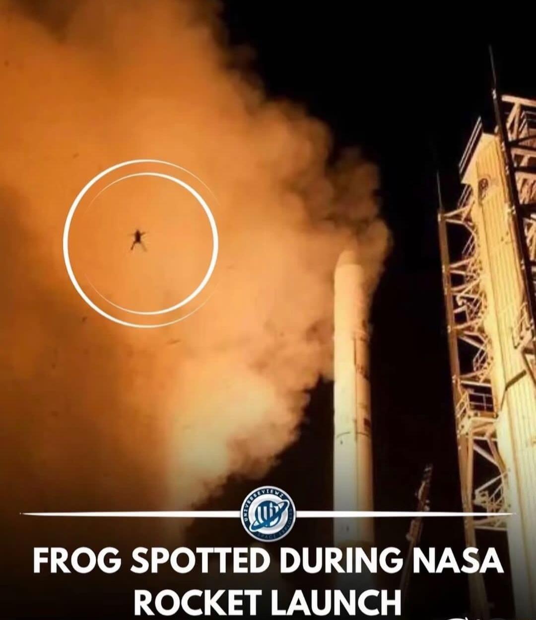 FROG SPOTTED DURING NASA e T 3 Q V e