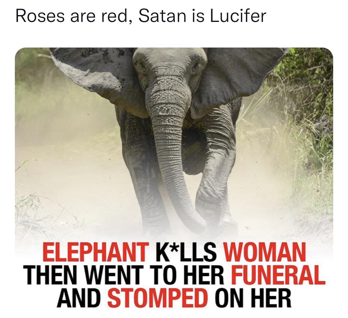 Roses are red Satan is Lucifer KLLS THEN WENT TO HER AND S DON HER