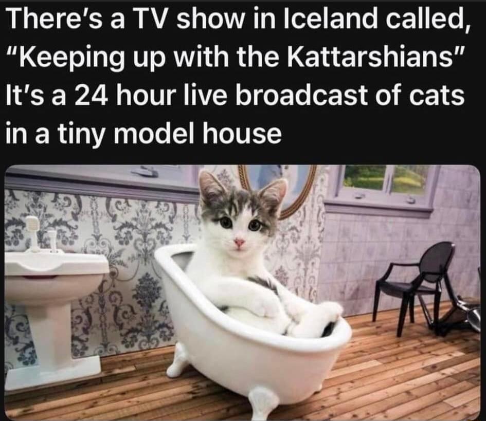 Theres a TV show in Iceland called B G N R G RGN E T ET B L P28 T NER T GET E R O fe 16 R A oo IR o ITET