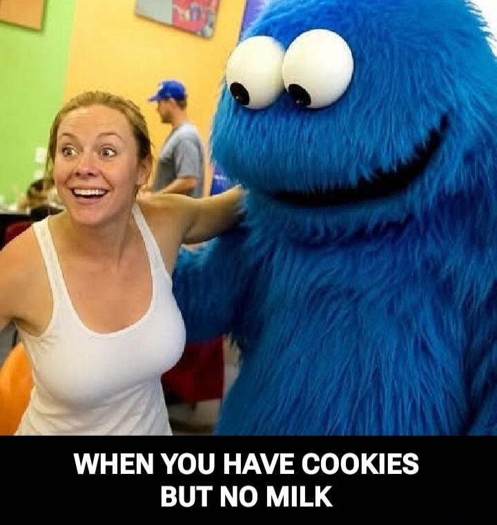 WHEN YOU HAVE COOKIES BUT NO MILK