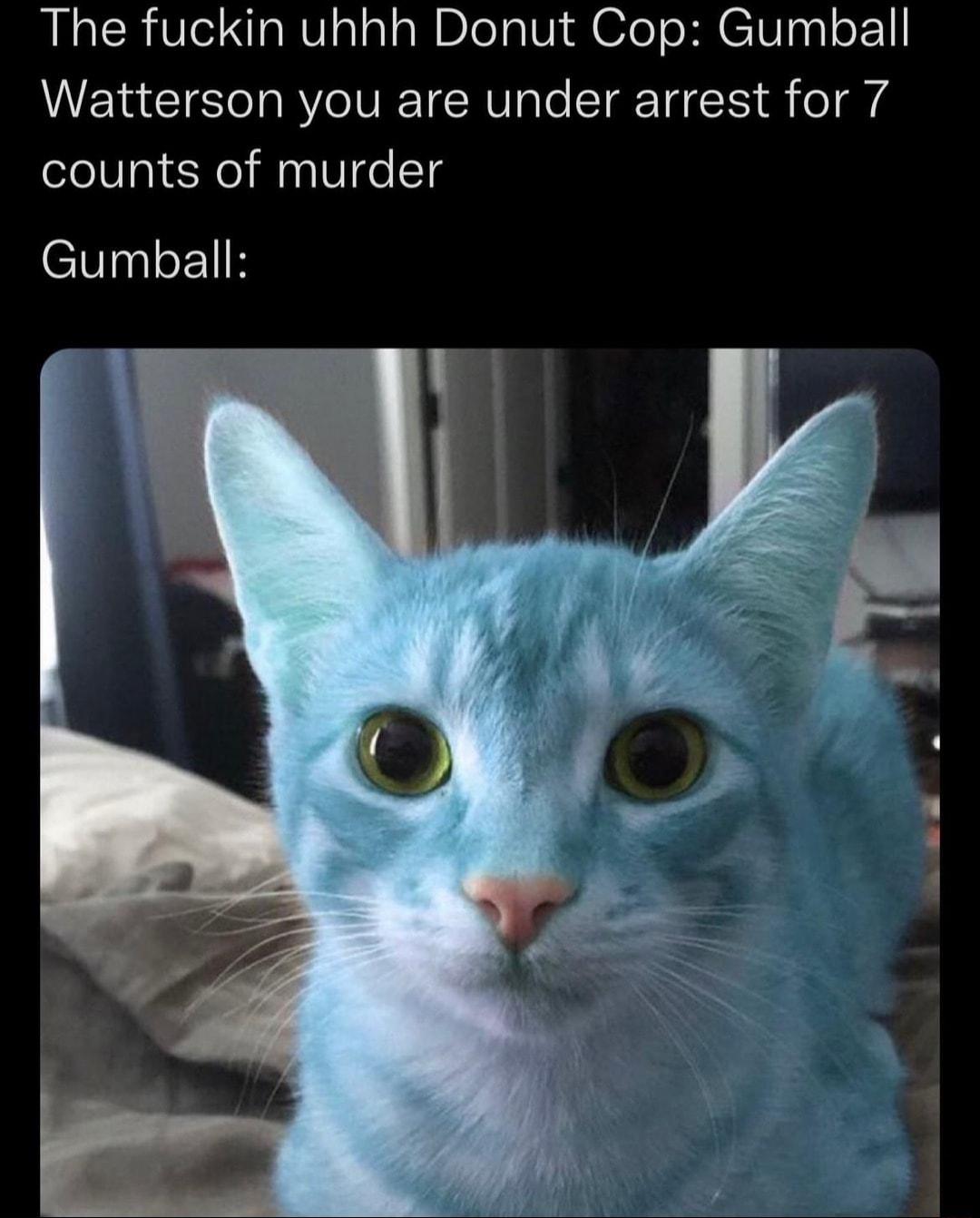 The fuckin uhhh Donut Cop Gumball Watterson you are under arrest for 7 counts of murder Gumball
