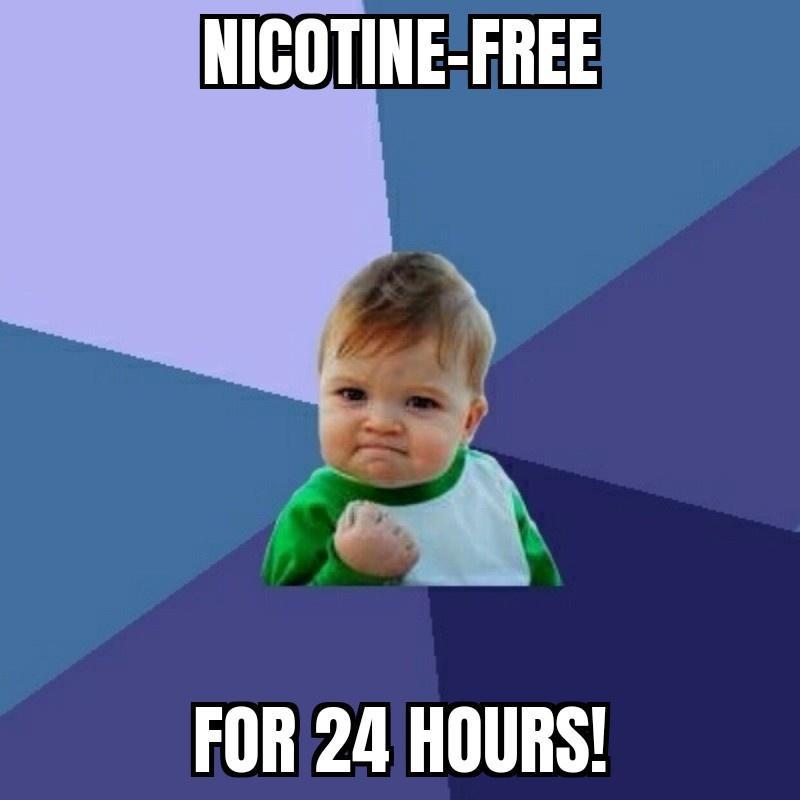 NICOTINE FREE N FOR 24 HOURS