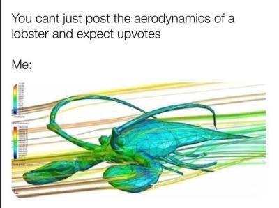 You cant just post the aerodynamics of a lobster and expect upvotes