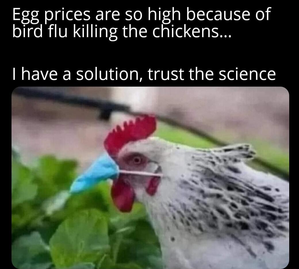 Egg prices are so high because of bird flu killing the chickens have a solution trust the science