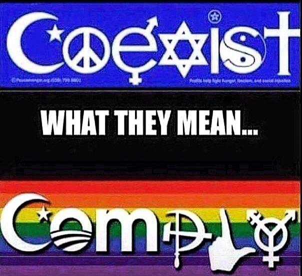 The image displays a meme contrasting two messages. The top message, 'Coexist,' is spelled out using various religious and gender symbols: the Islamic crescent and star, a peace sign, the male gender symbol, the Star of David, a Wiccan pentagram, the Yin and Yang symbol, and a Christian cross. Below this, on a black background, is the text 'WHAT TH