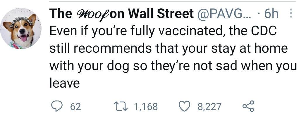 Even if youre fully vaccinated the CDC still recommends that your stay at home with your dog so theyre not sad when you leave Q 62 L 1168 O s8227 5 _ The 2w00z0n Wall Street PAVG 6h