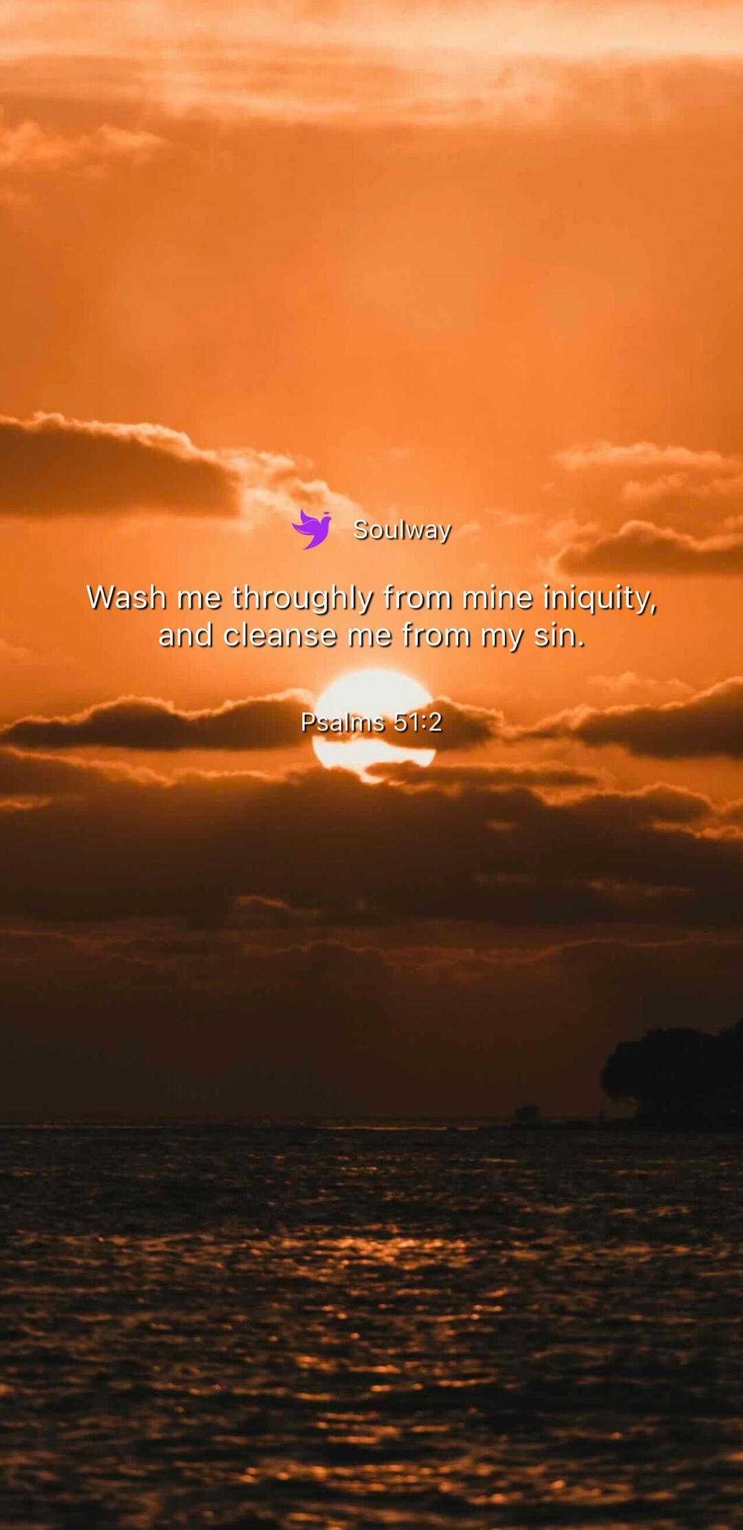 Soulway Wash me throughly from mine iniquity, and cleanse me from my sin. Psalms 51:2