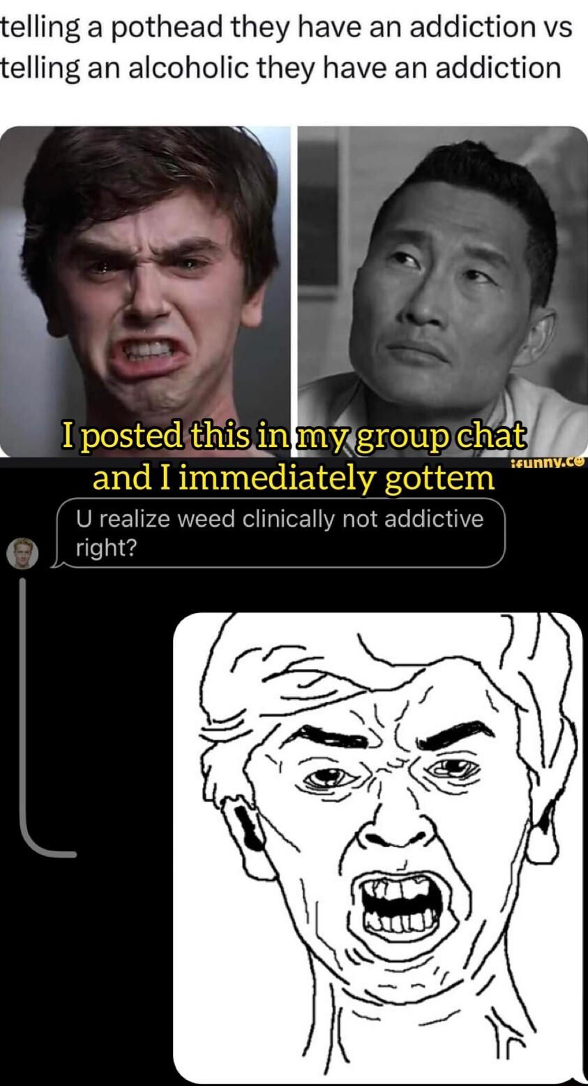 elling a pothead they have an addiction vs elling an alcoholic they have an addiction U realize weed clinically not addictive right