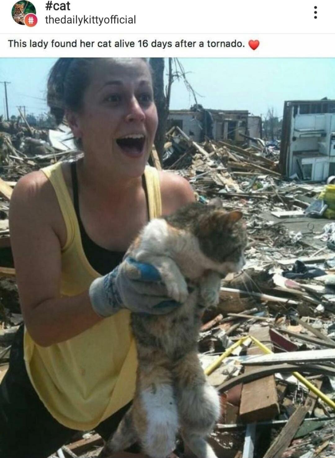 QO thedailykittyofficial This lady found her cat alive 16 days after a tornado