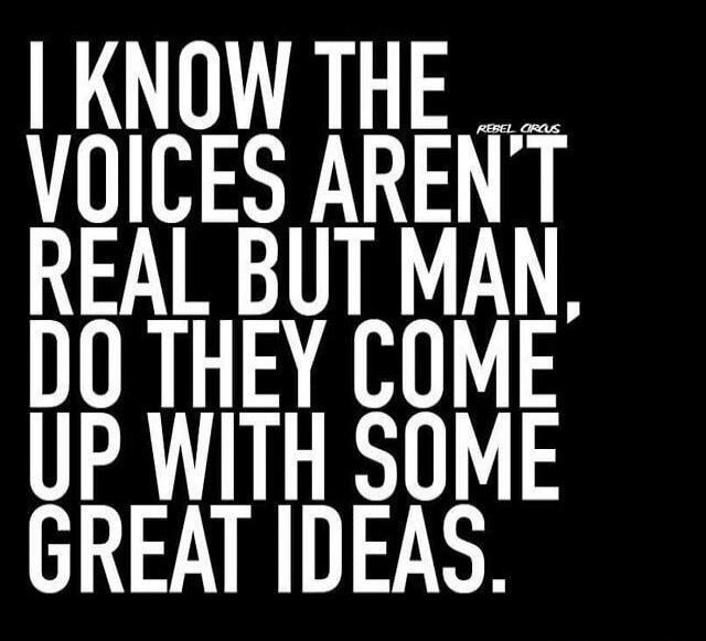 I KNOW THE VOICES AREN'T REAL BUT MAN, DO THEY COME UP WITH SOME GREAT IDEAS.
