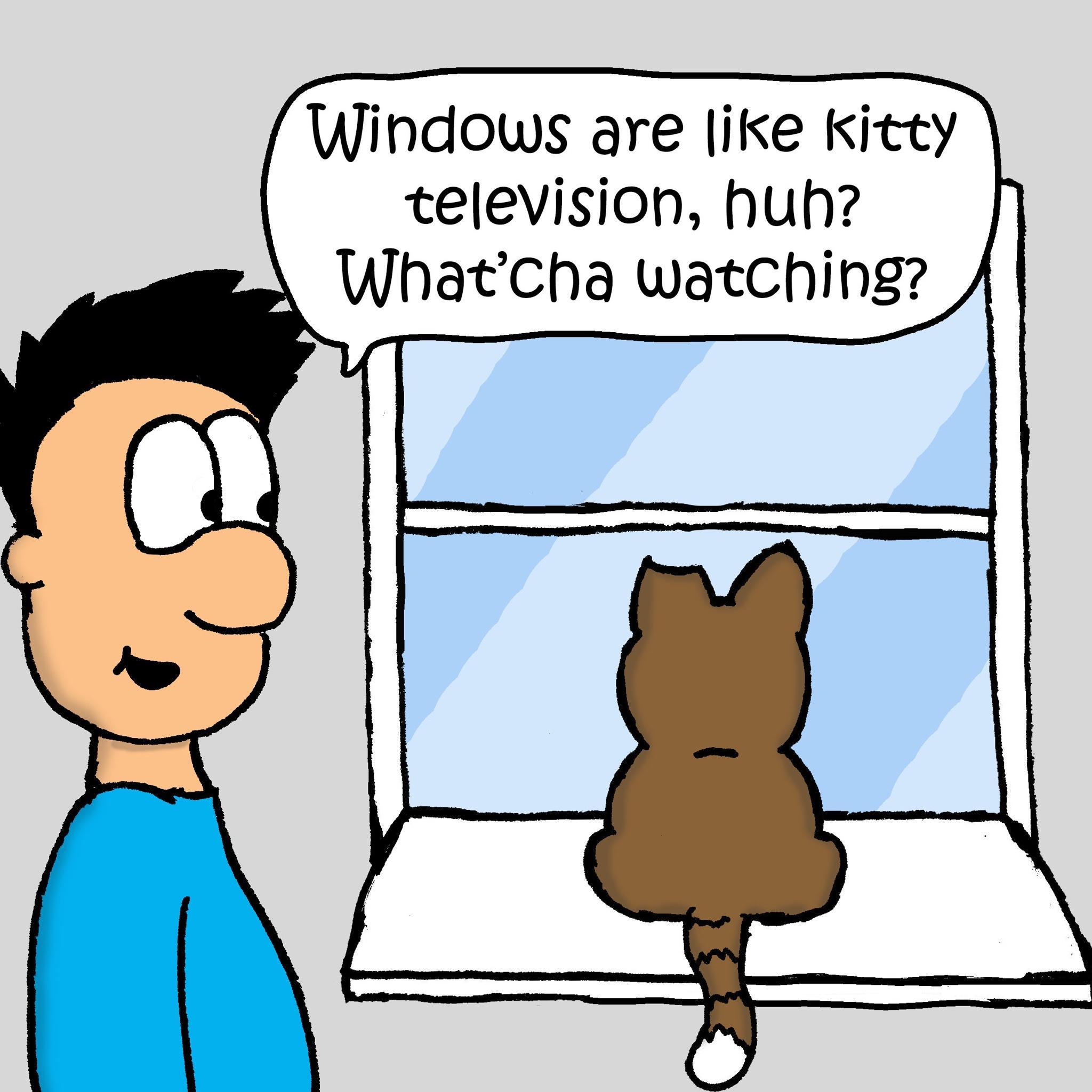 Windows are like Kitty television huh WhatCha watching