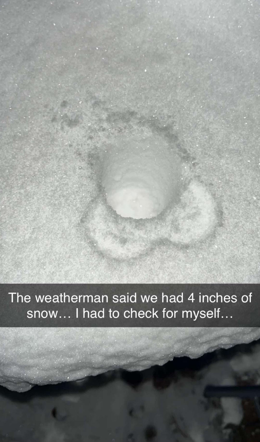 The weatherman said we had 4 inches of 12 ToL YA N Te B o lol o TYol 8 o 11 VASTY1 SO