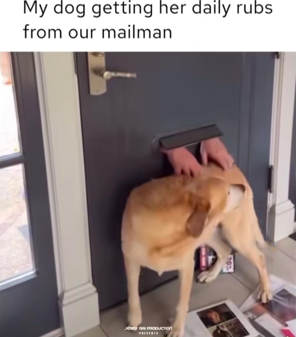 My dog getting her from our mailman