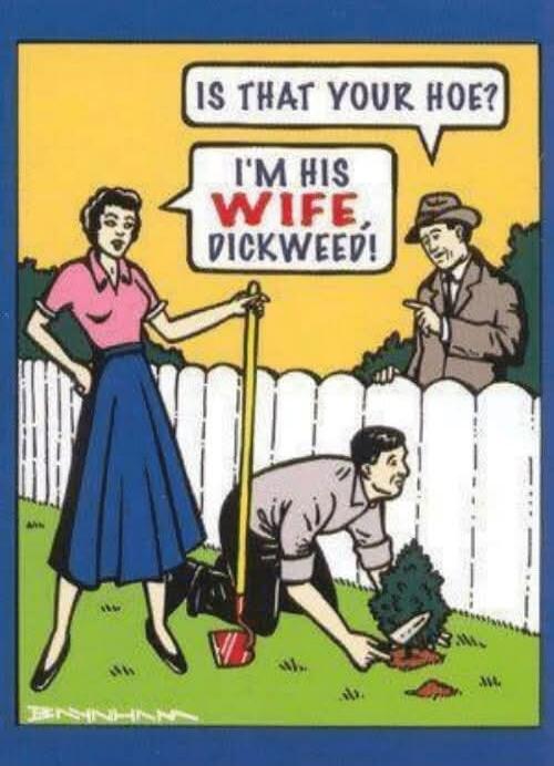 IS THAT YOUR HOE? I'M HIS WIFE, DICKWEED!