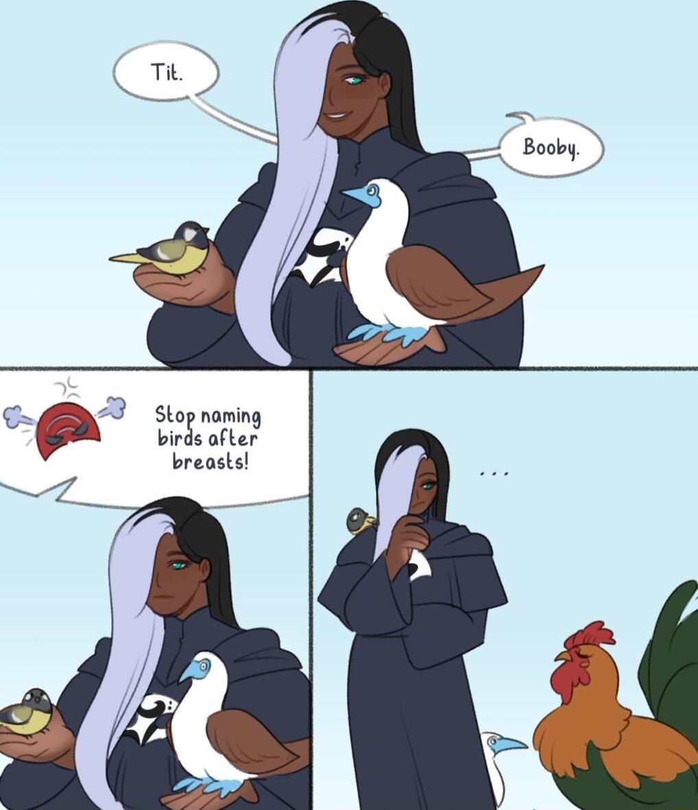 Stop naming birds after breasts