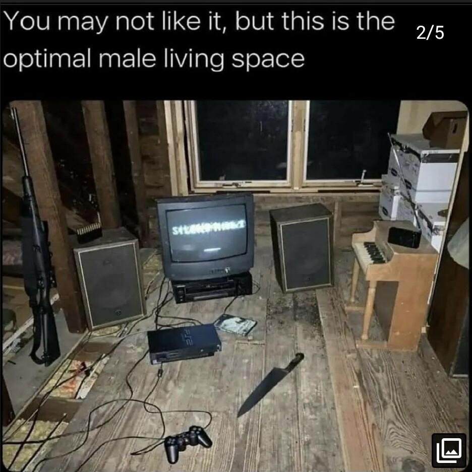 You may not like it but thisis the 5 optimal male living space