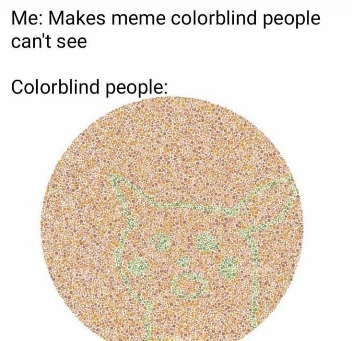 Me Makes meme colorblind people cant see Colorblind people