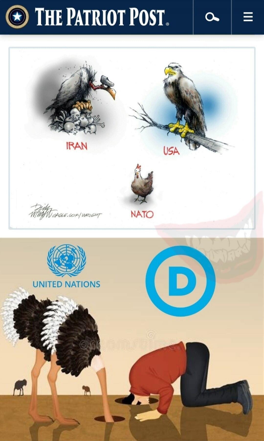 THE PATRIOT POST. A political cartoon featuring a vulture-like bird with a hammer and sickle on a pile of skulls labeled 'IRAN', a bald eagle labeled 'USA', and a small chicken labeled 'NATO'. Below, the 'UNITED NATIONS' logo next to an ostrich with its head in the sand, and a blue circle with 'D' (representing the Democratic Party) next to a perso