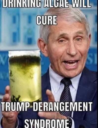 DRINKING ALGAE WILL CURE TRUMP DERANGEMENT SYNDROME