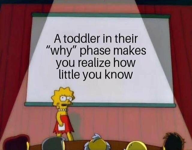 Atoddler in their why phase makes you realize how little you know W