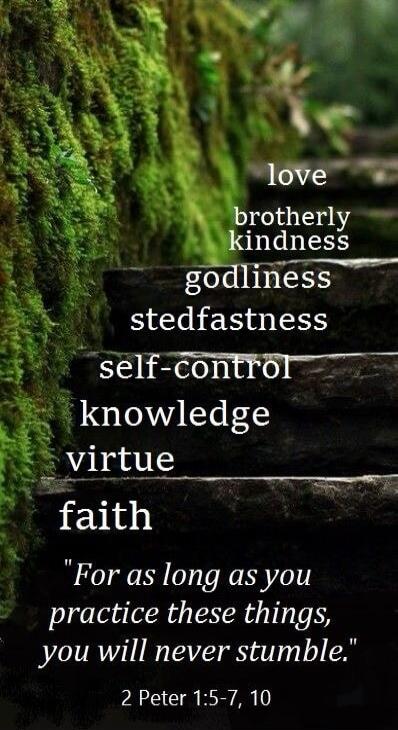 love
brotherly
kindness
godliness
stedfastness
self-control
knowledge
virtue
faith
