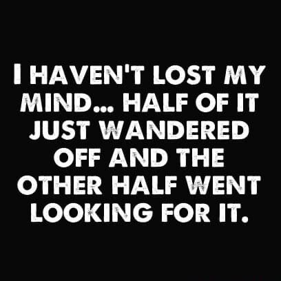 I HAVENT LOST MY MIND HALF OF IT JUST WANDERED OFF AND THE OTHER HALF WENT Koo d cHzel J M