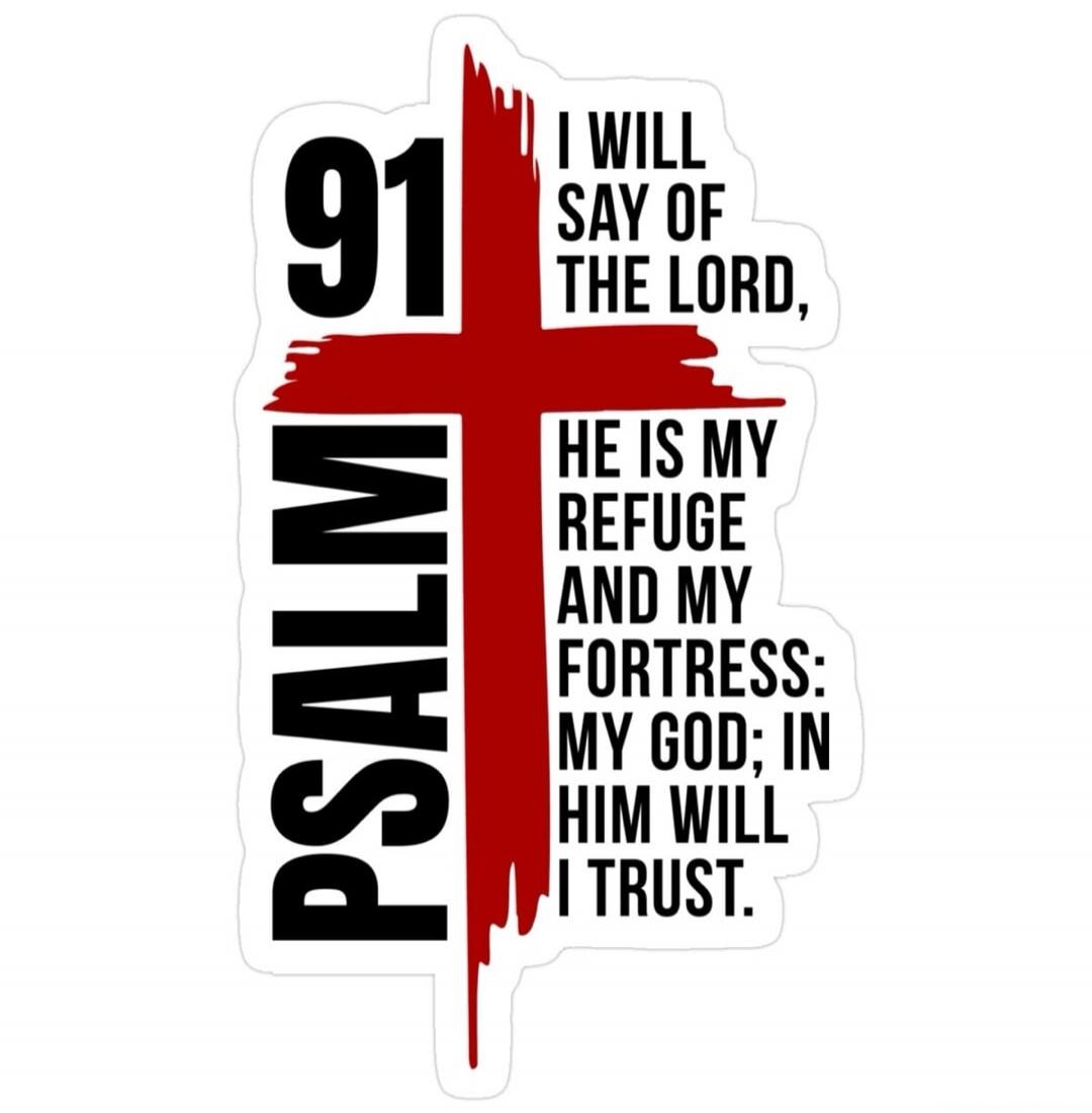 PSALM 91 I WILL SAY OF THE LORD, HE IS MY REFUGE AND MY FORTRESS: MY GOD; IN HIM WILL I TRUST.