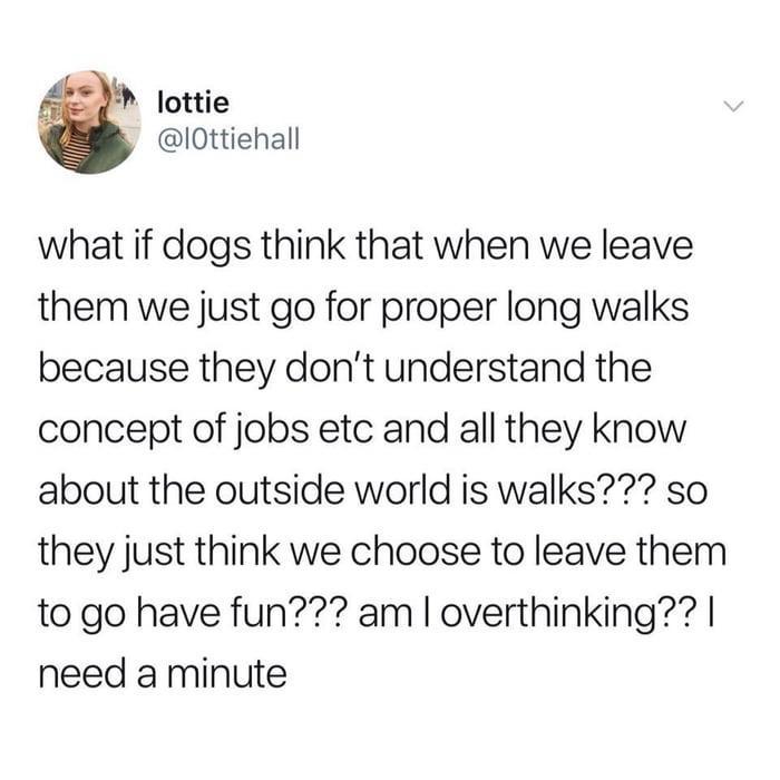 lottie IOttiehall what if dogs think that when we leave them we just go for proper long walks because they dont understand the concept of jobs etc and all they know about the outside world is walks so they just think we choose to leave them to go have fun am overthinking need a minute