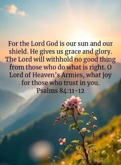 For the Lord God is our sun and our shield. He gives us grace and glory. The Lord will withhold no good thing from those who do what is right. O Lord of Heaven's Armies, what joy for those who trust in you. Psalms 84:11-12