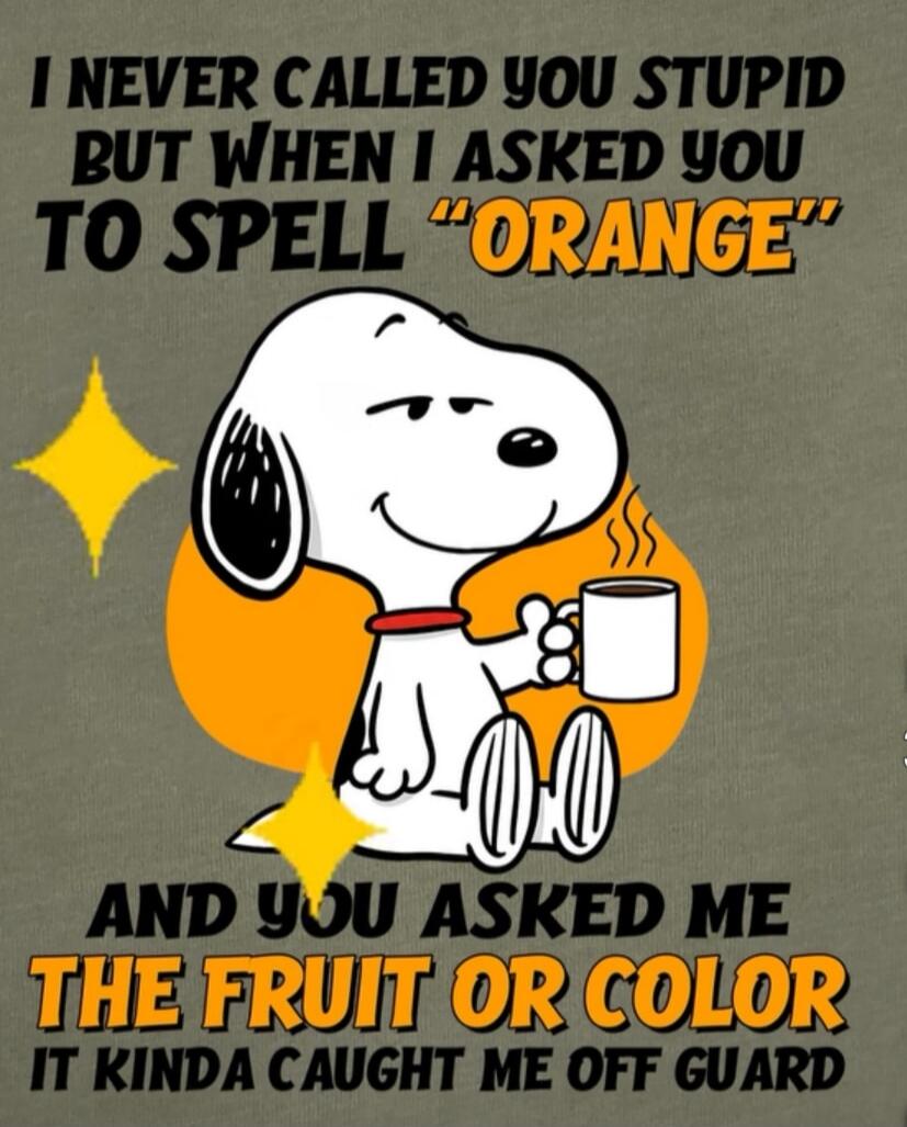I NEVER CALLED YOU STUPID BUT WHEN I ASKED YOU TO SPELL “ORANGE” AND YOU ASKED ME THE FRUIT OR COLOR IT KINDA CAUGHT ME OFF GUARD