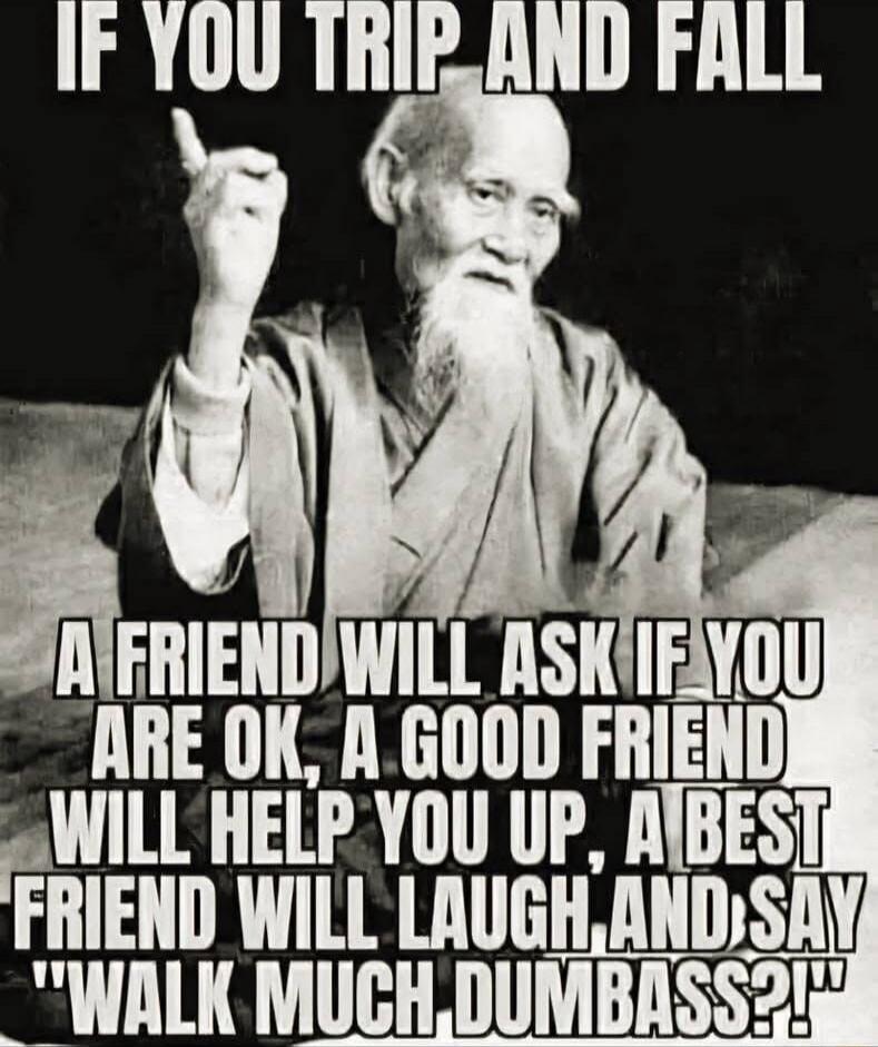 IF YOU TRIP AND FALL A FRIEND WILL ASK IF YOU ARE OK, A GOOD FRIEND WILL HELP YOU UP, A BEST FRIEND WILL LAUGH AND SAY 