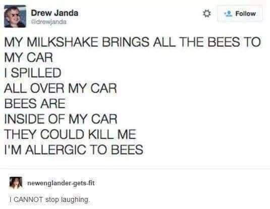i Drew Janda 1 2 Follow crewjanda MY MILKSHAKE BRINGS ALL THE BEES TO MY CAR SPILLED ALL OVER MY CAR BEES ARE INSIDE OF MY CAR THEY COULD KILL ME IM ALLERGIC TO BEES N newenglander gets fit 1 GANNOT stop laughing