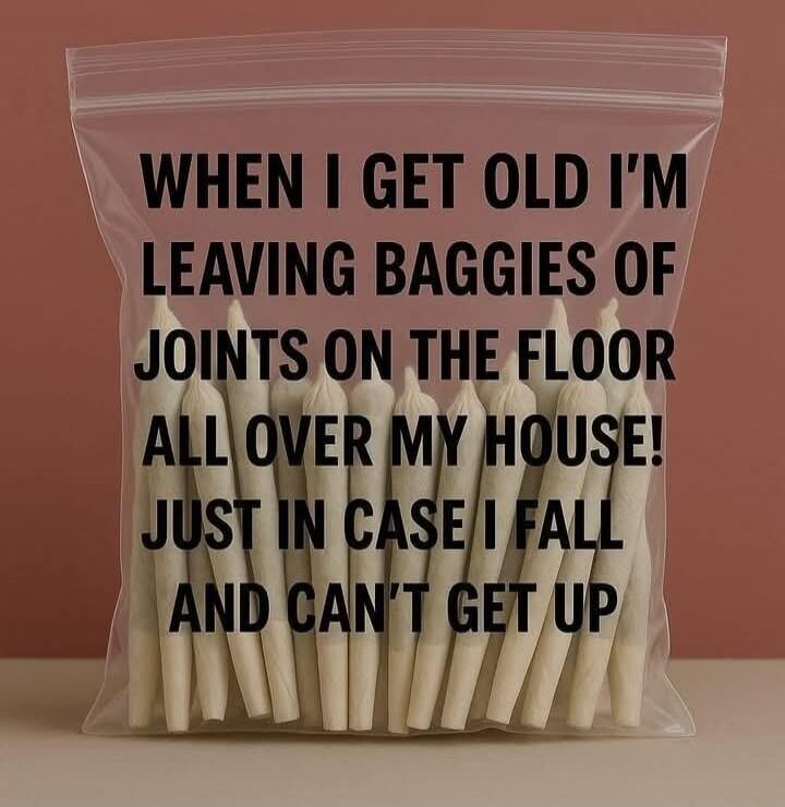 WHEN I GET OLD I'M LEAVING BAGGIES OF JOINTS ON THE FLOOR ALL OVER MY HOUSE! JUST IN CASE I FALL AND CAN'T GET UP